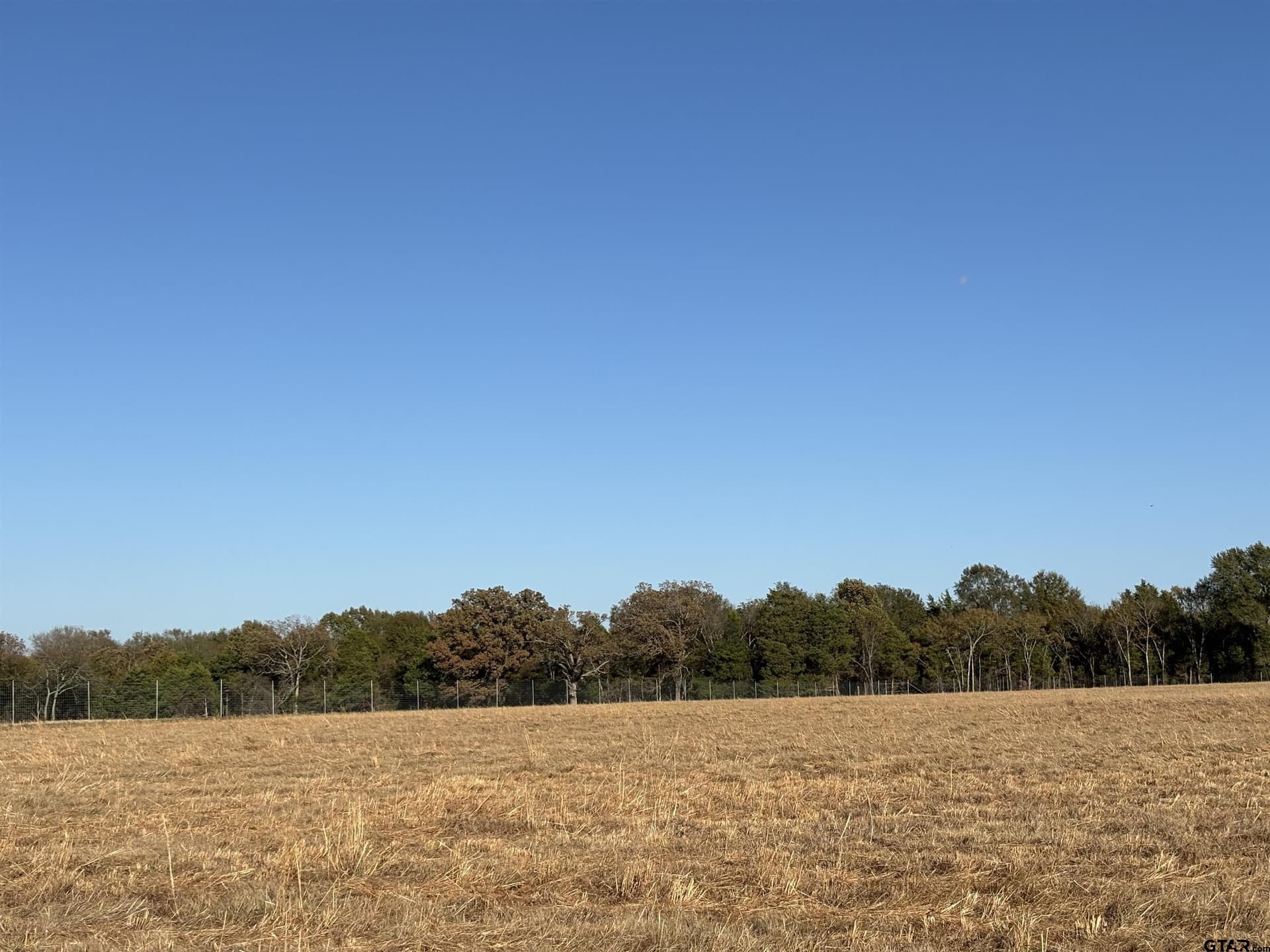 46 acres in Van Zandt County - photo 3