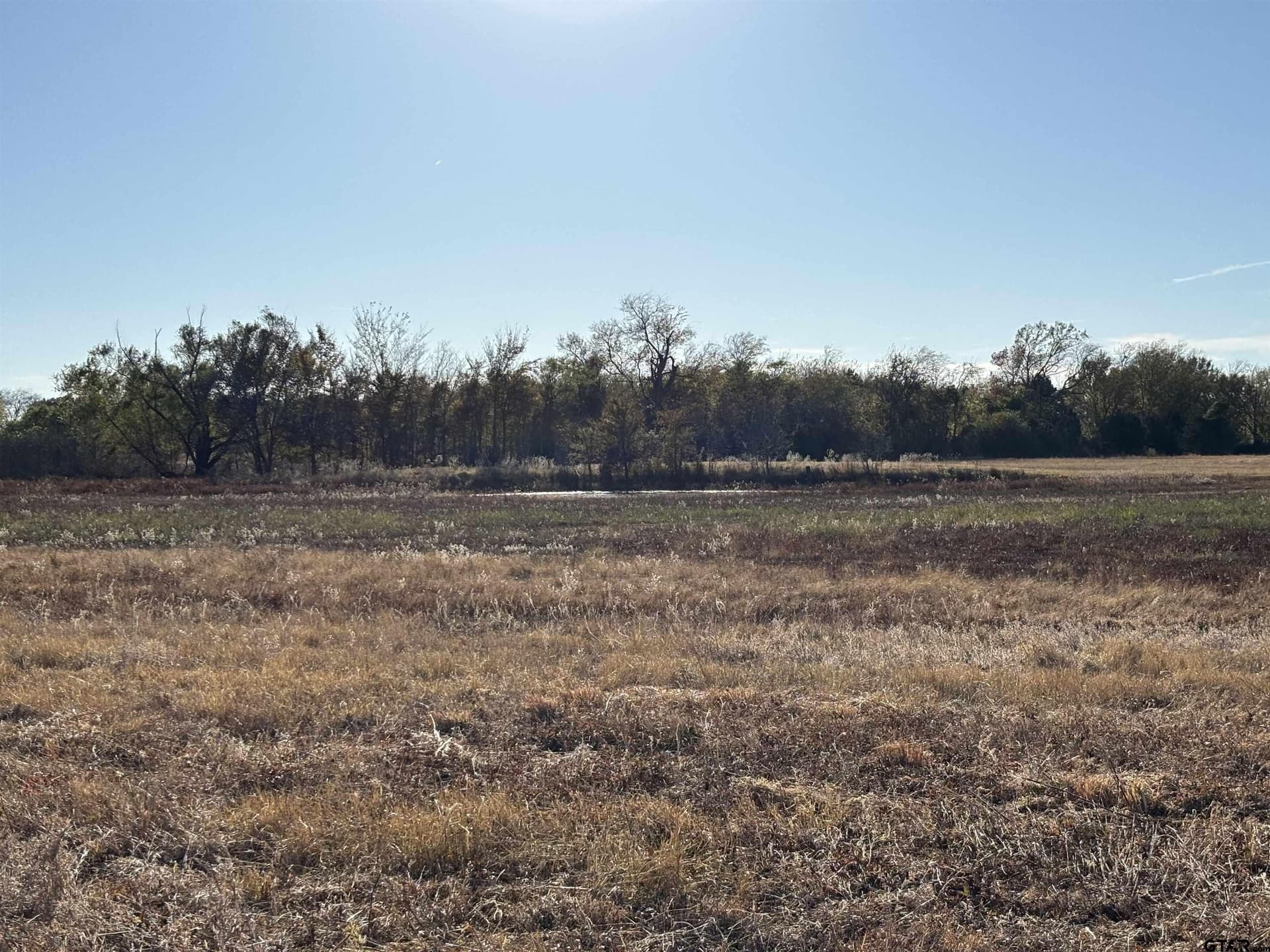 46 acres in Van Zandt County - photo 7