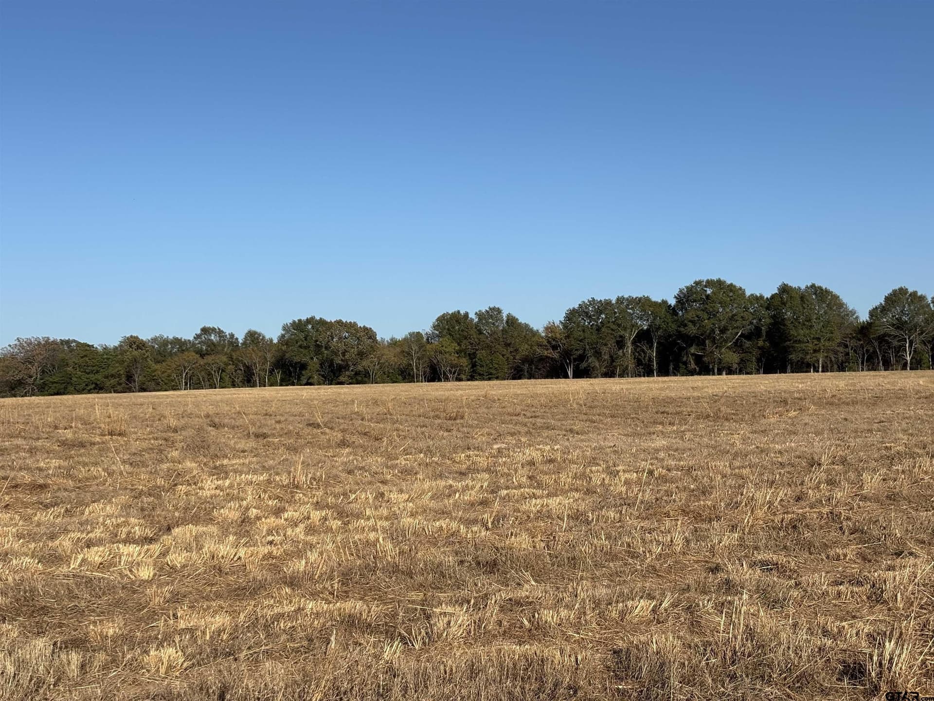 46 acres in Van Zandt County - photo 4