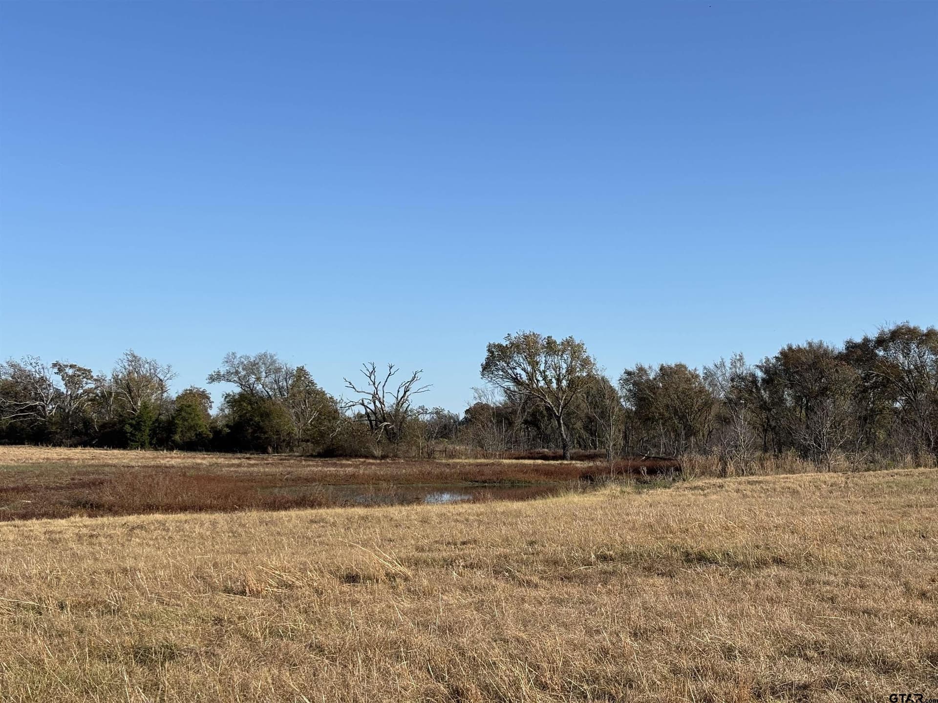 46 acres in Van Zandt County - photo 5