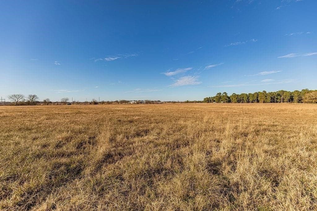 16 acres in AUSTIN County - photo 6