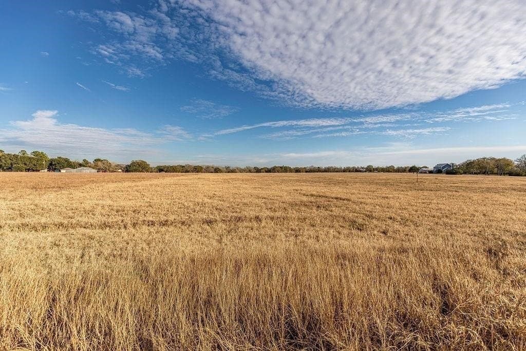 16 acres in AUSTIN County - photo 3
