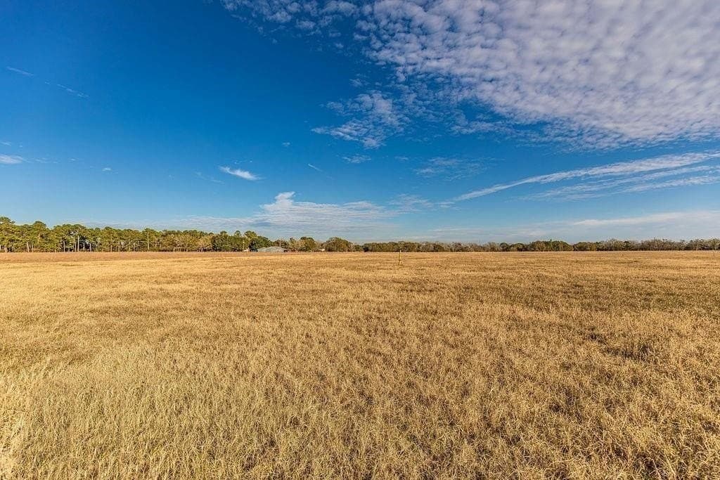 16 acres in AUSTIN County - photo 4