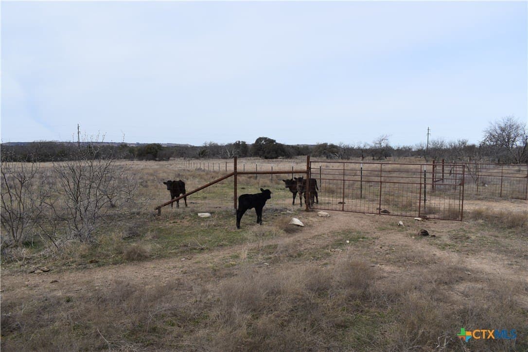 49.5 acres in Hamilton County - photo 12