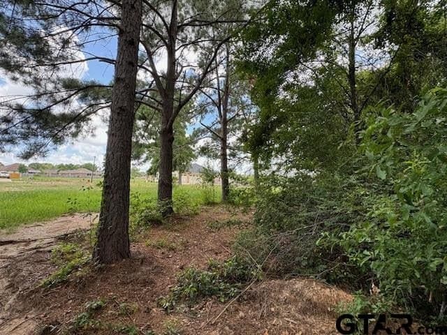 0.74 acres in Smith County gallery image 3