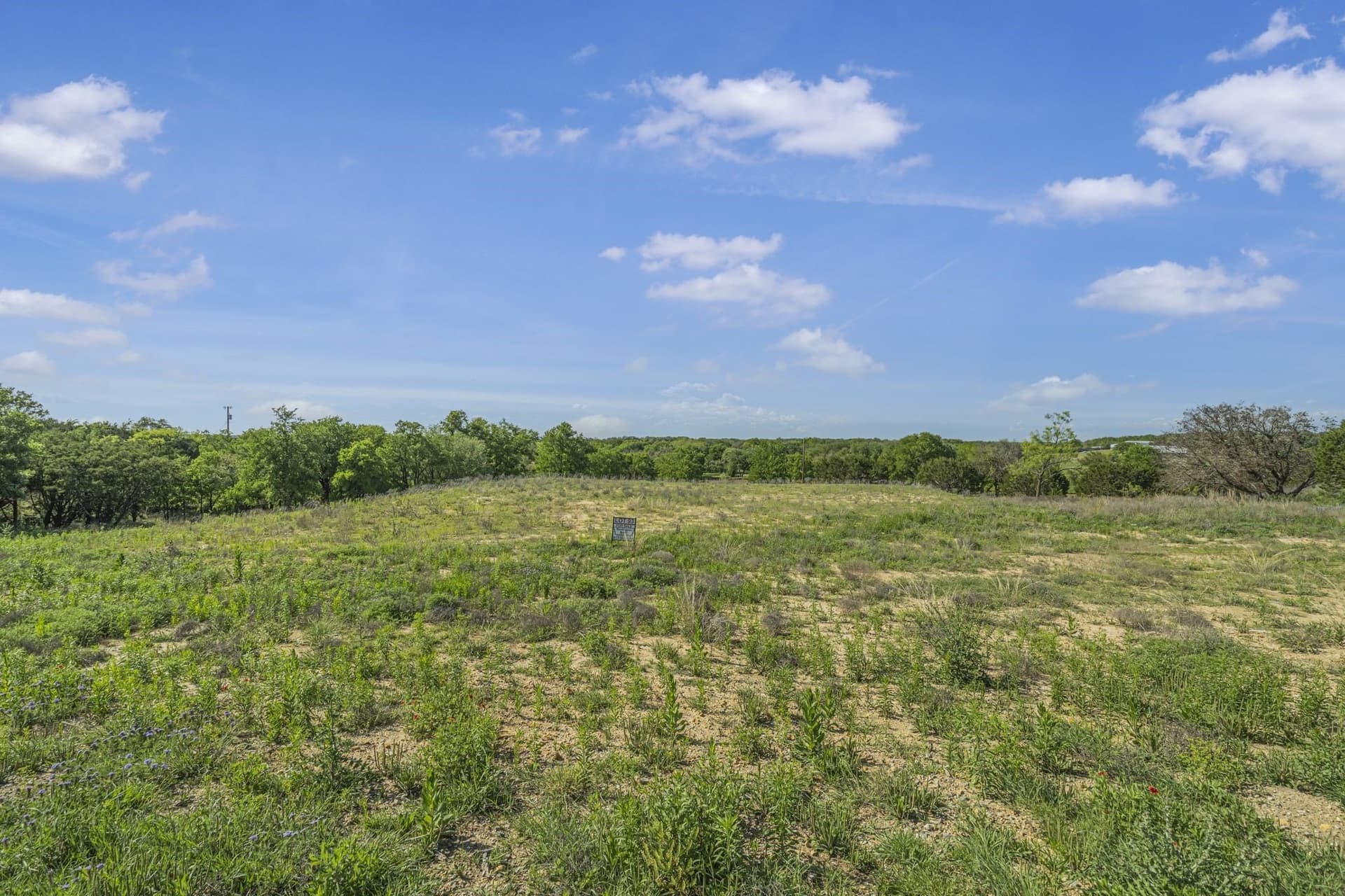 2.51 acres in Parker County gallery image 2