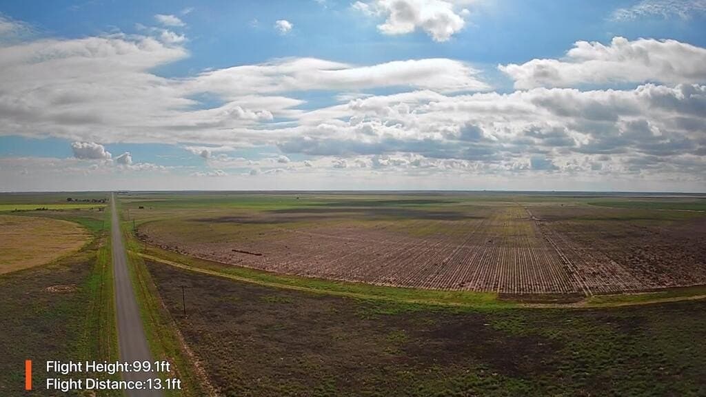 160 acres in Gaines County - photo 4