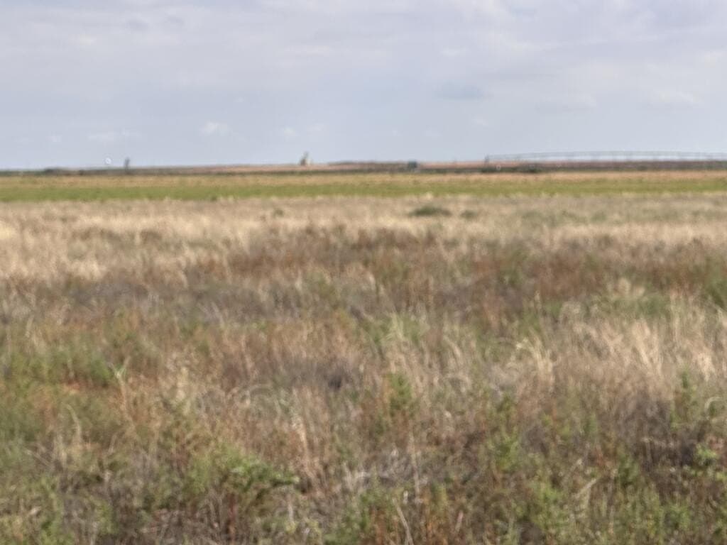 160 acres in Gaines County - photo 7