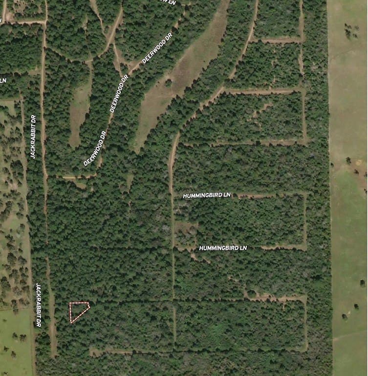 0.29 acres in Waller County - photo 7