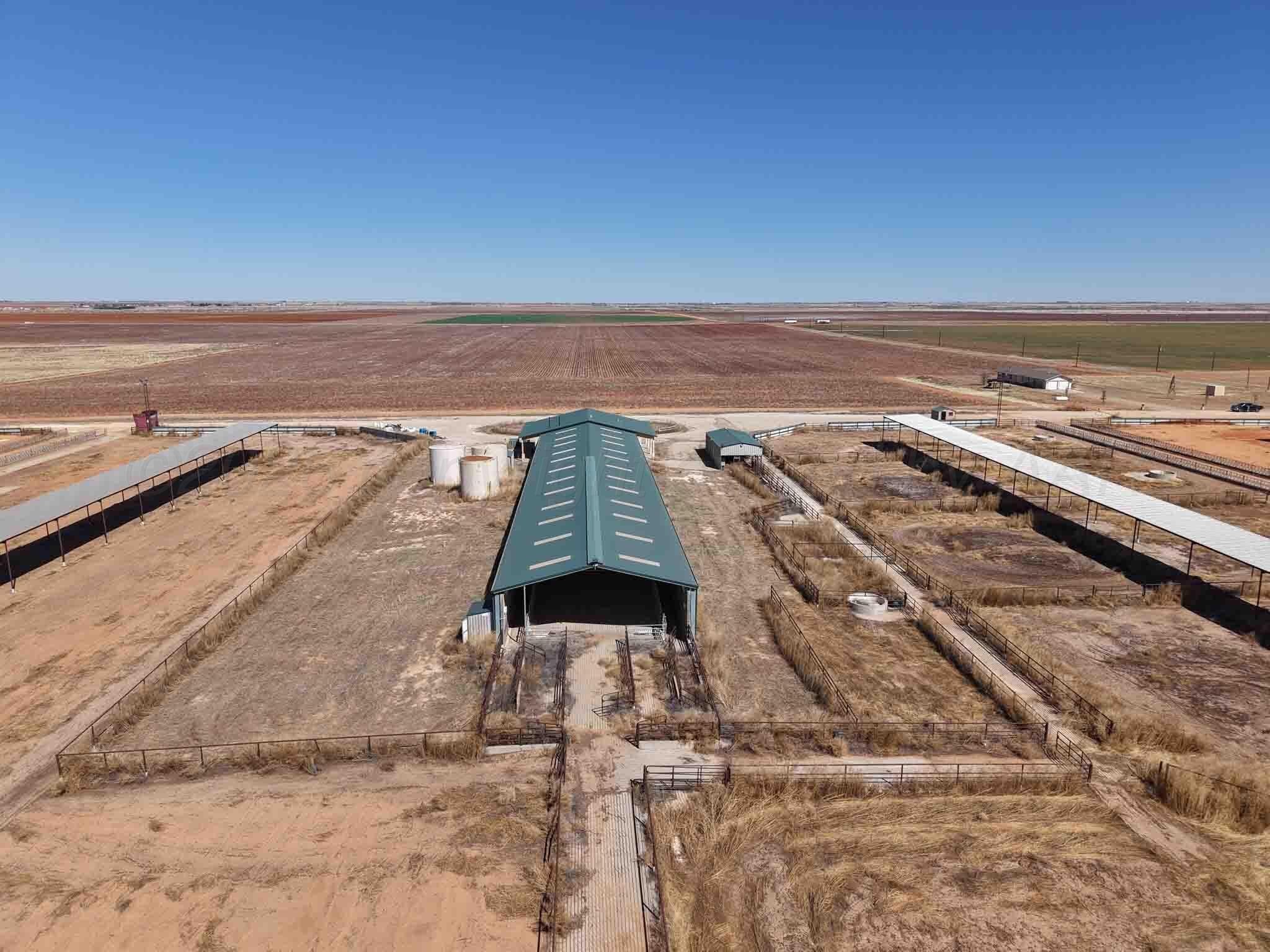 280 acres in Terry County gallery image 4