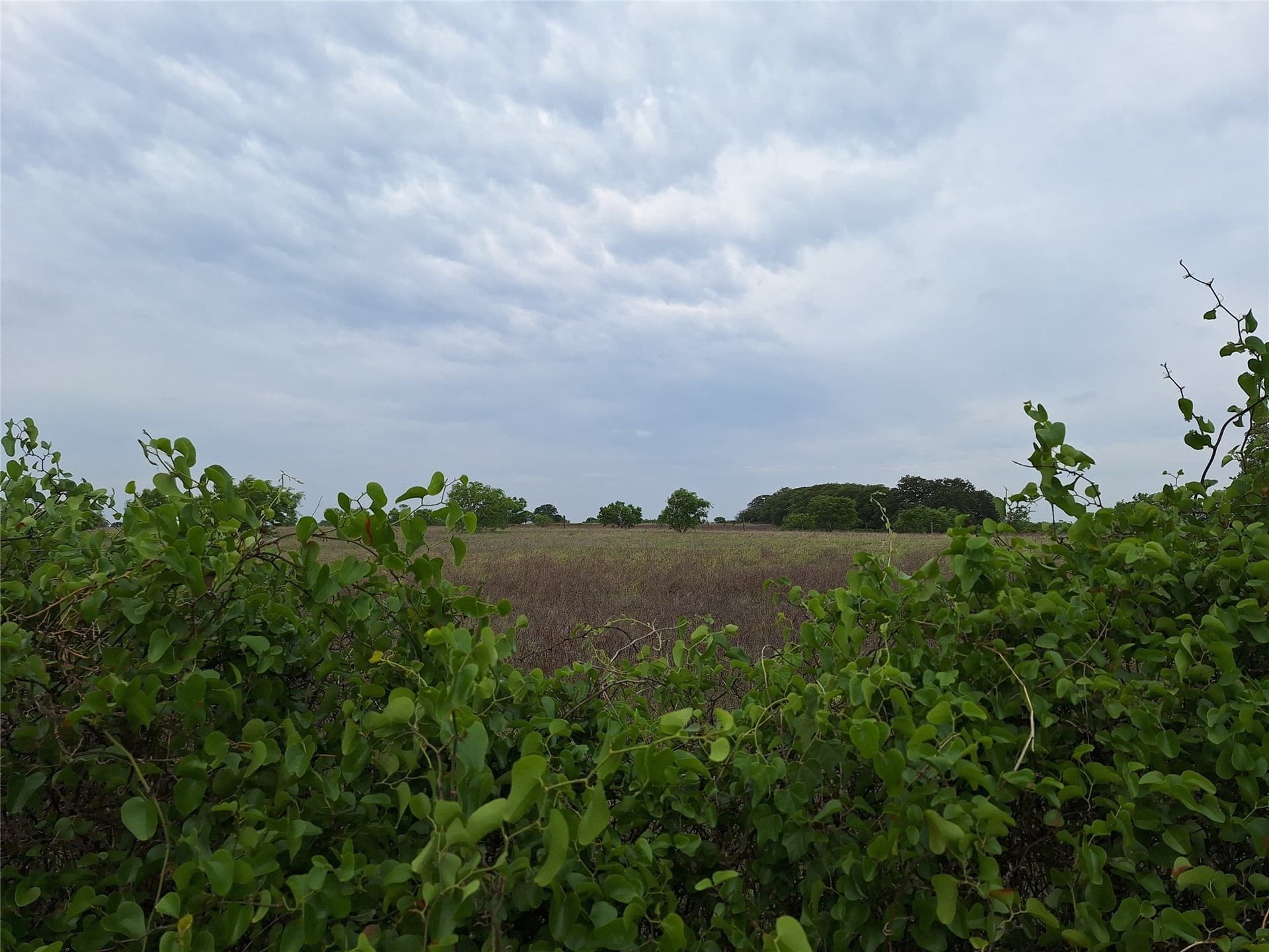 30.03 acres in San Saba County - photo 4