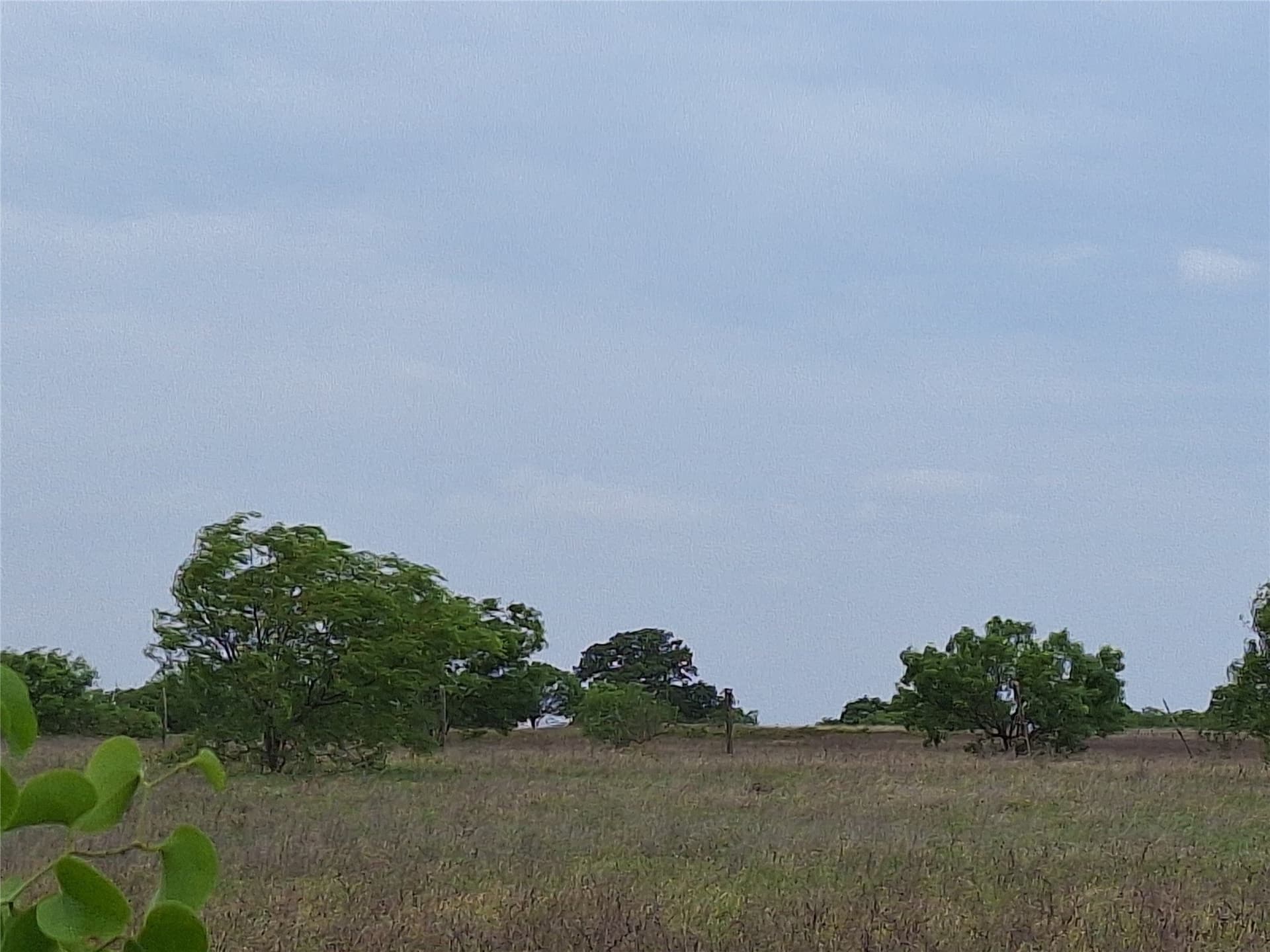 30.03 acres in San Saba County - photo 5