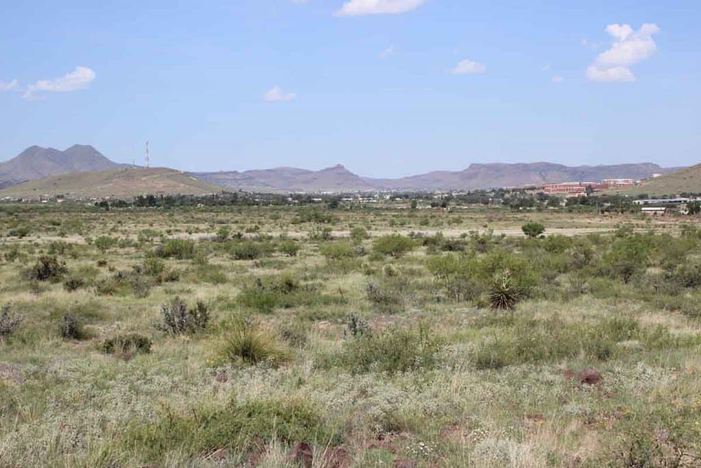 20.69 acres in Brewster County - photo 6