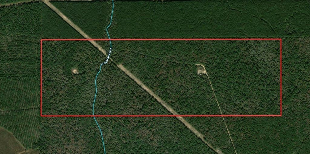 250 acres in Texas County gallery image 2