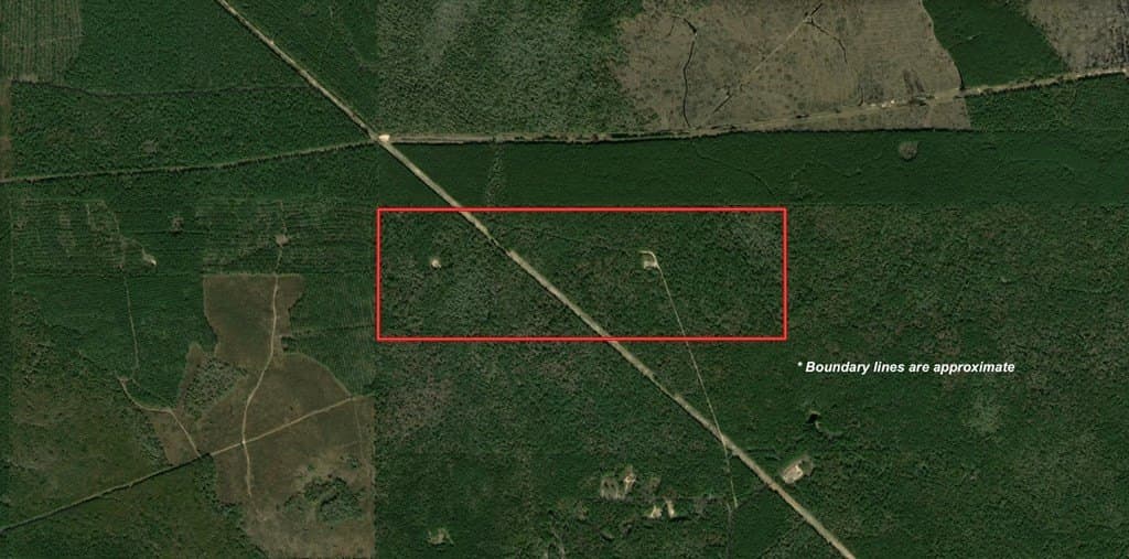 250 acres in Texas County gallery image 3