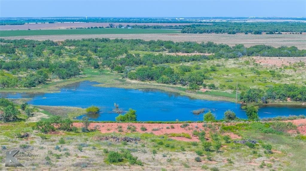 80 acres in Taylor County gallery image 3