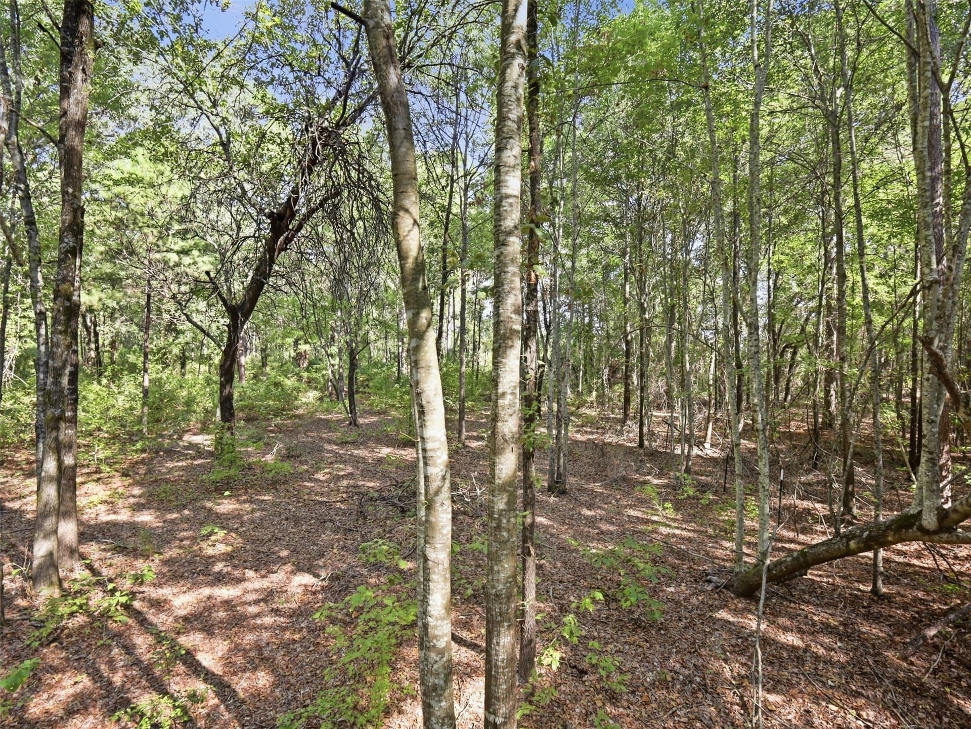11.78 acres in Wood County - photo 19