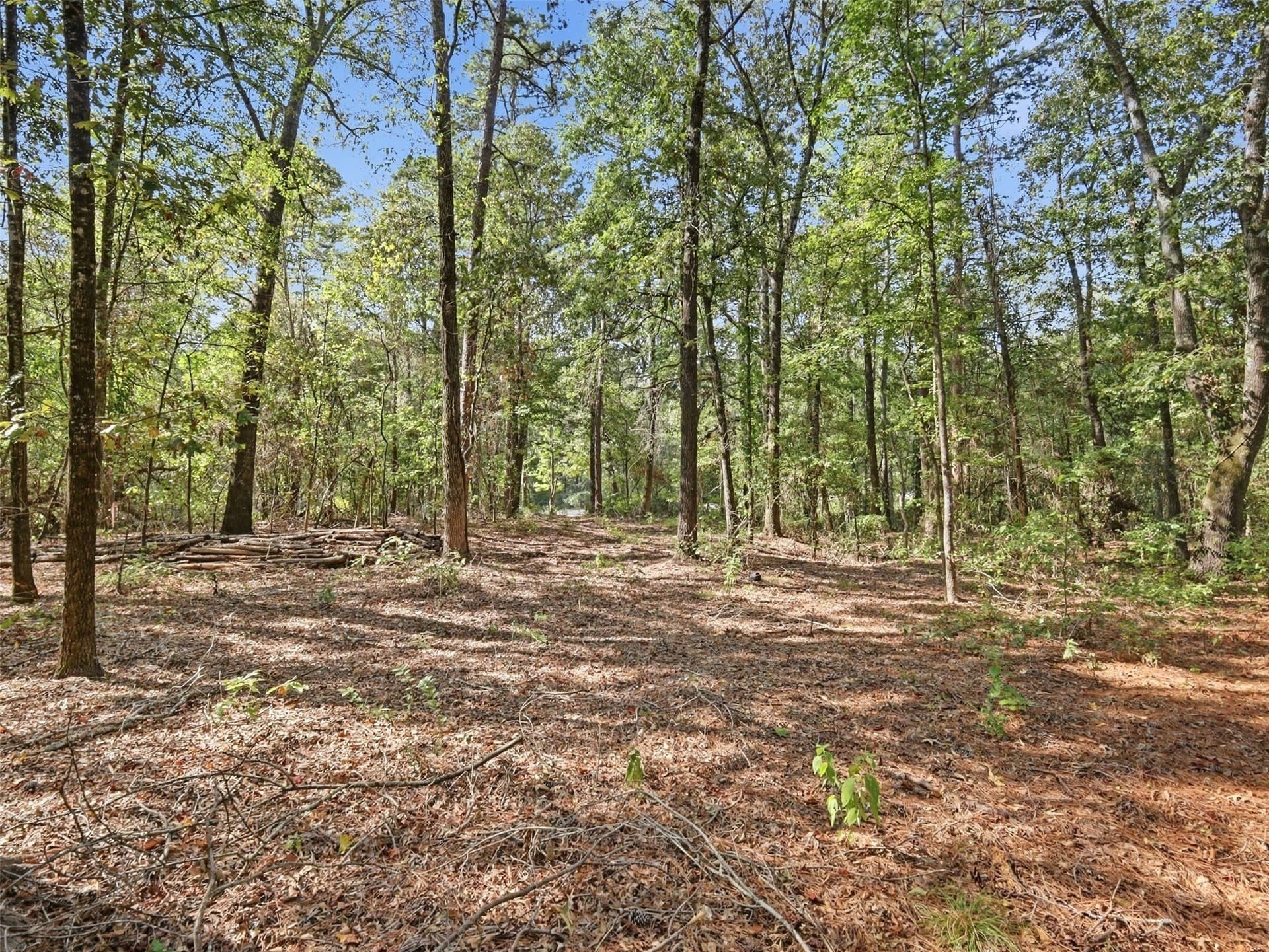 11.78 acres in Wood County - photo 13