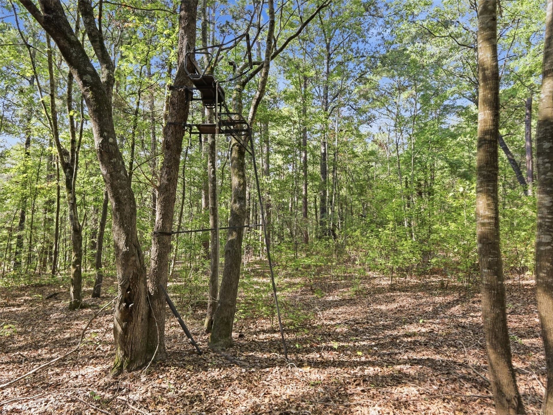 11.78 acres in Wood County - photo 16