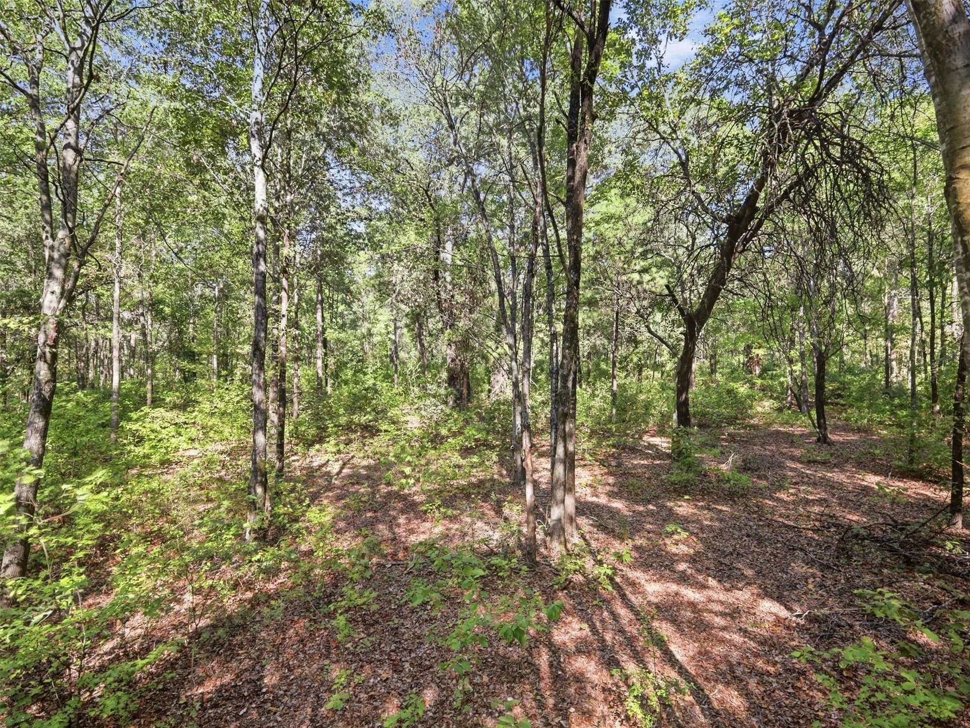 11.78 acres in Wood County - photo 17