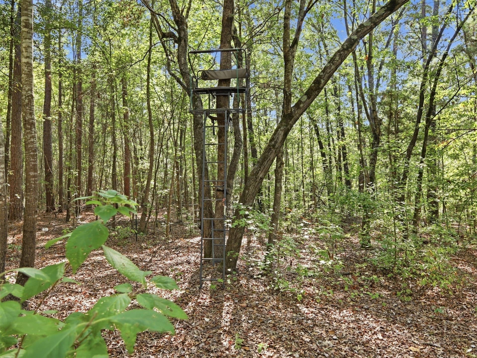 11.78 acres in Wood County - photo 15