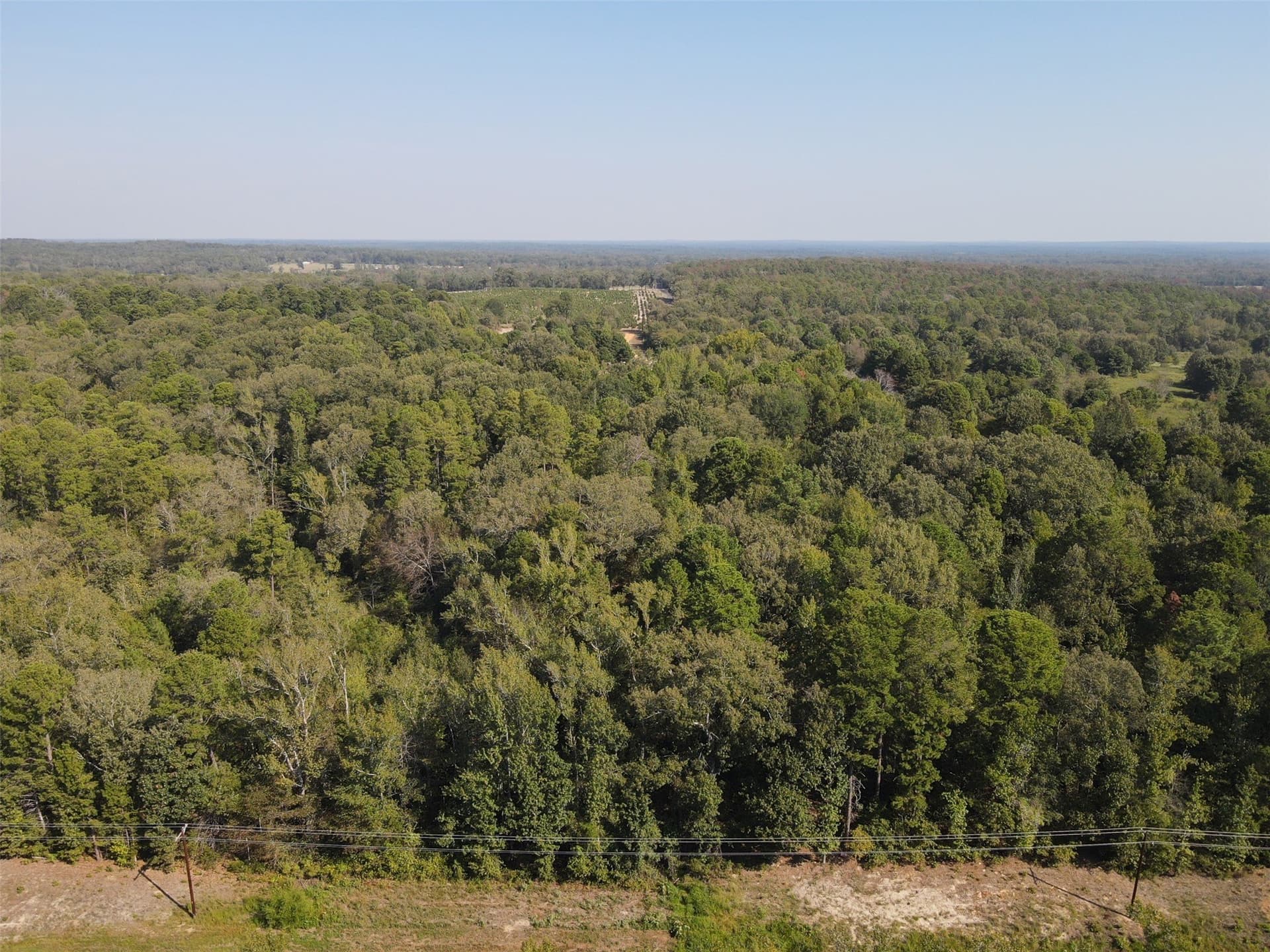 11.78 acres in Wood County - photo 6