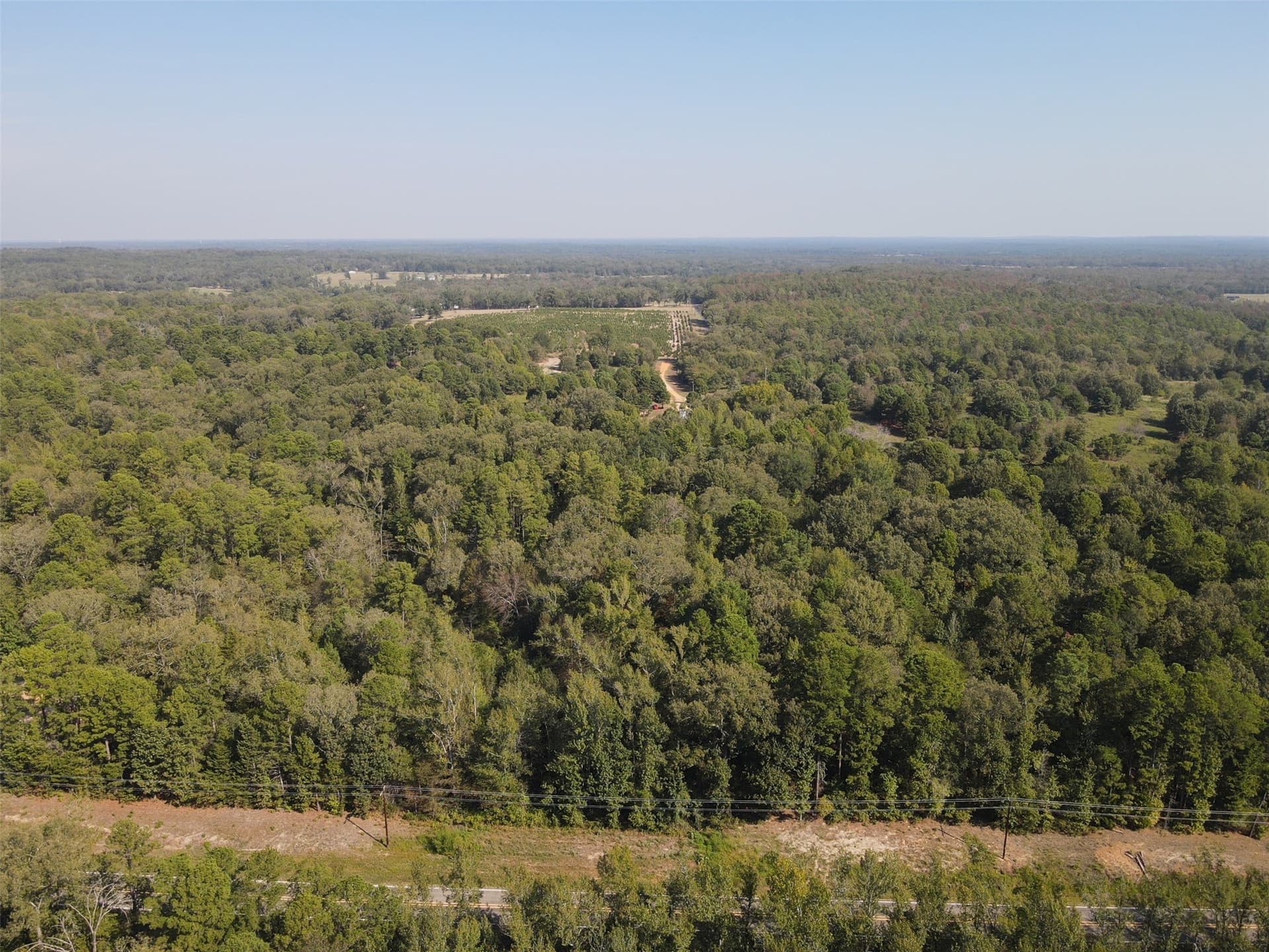 11.78 acres in Wood County - photo 4