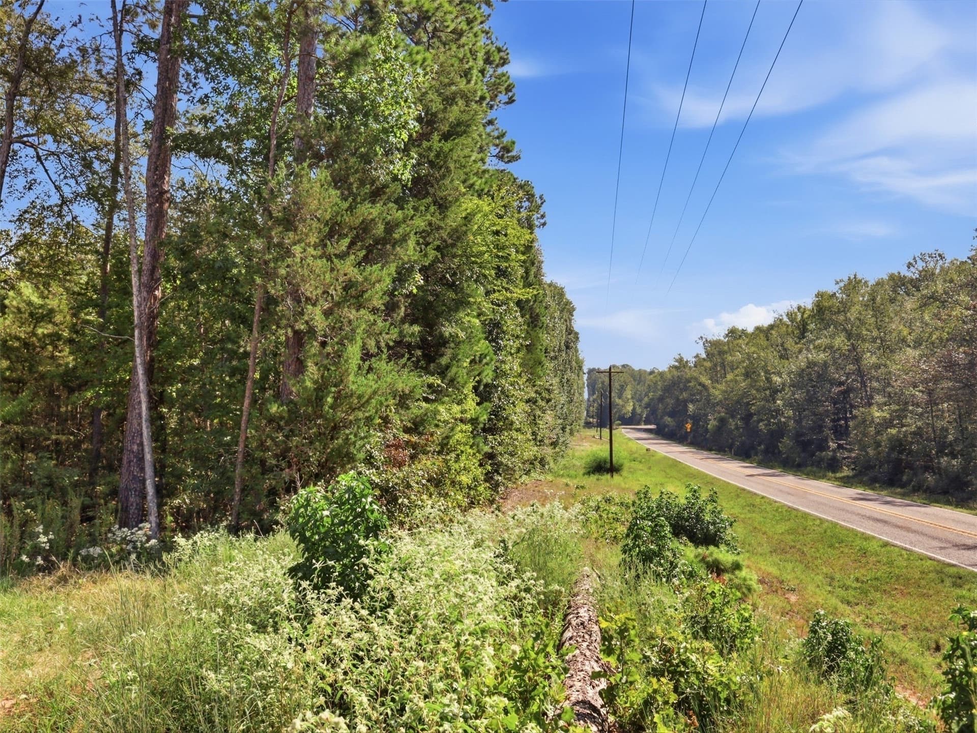 11.78 acres in Wood County - photo 2