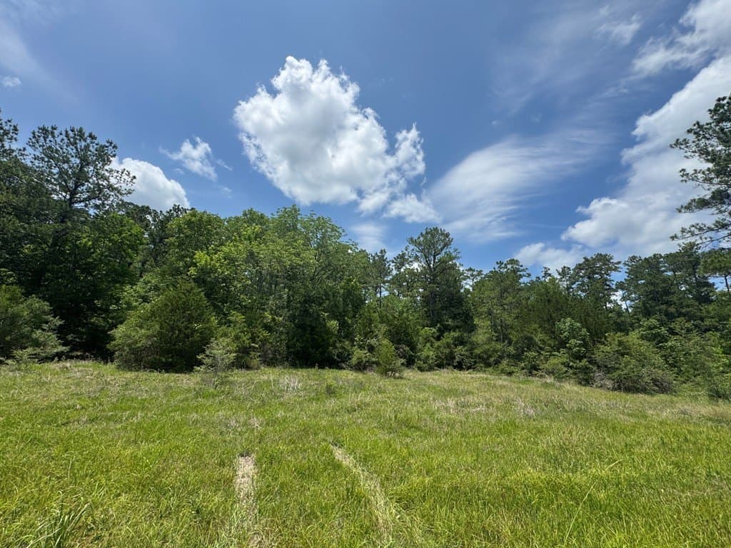 4.72 acres in Texas County - photo 8
