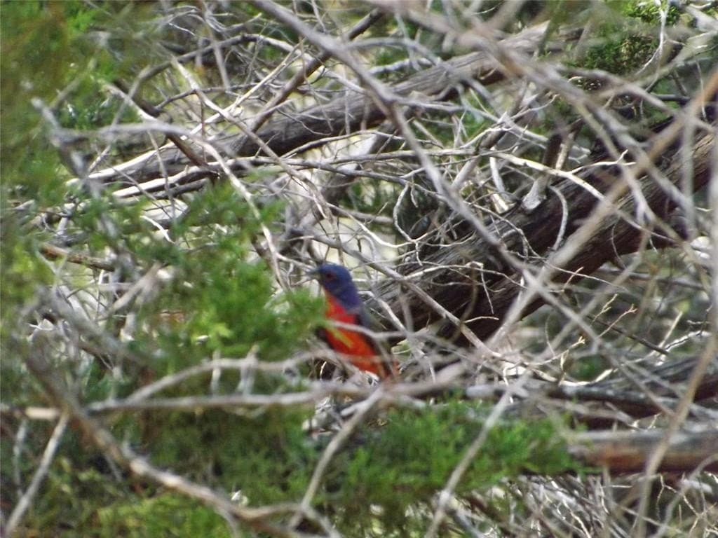 0.26 acres in Hill County gallery image 4