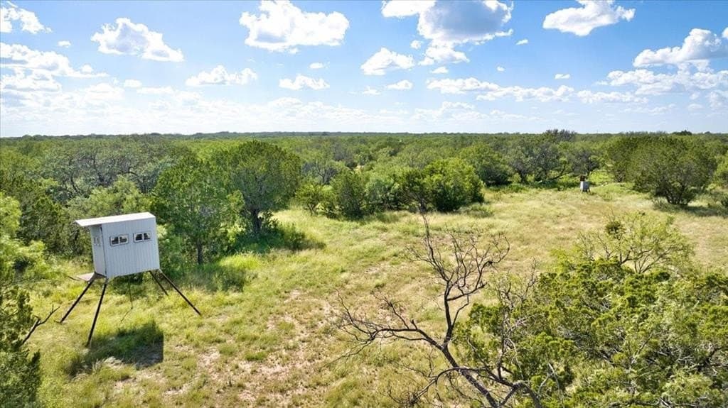 84.8 acres in Menard County gallery image 4