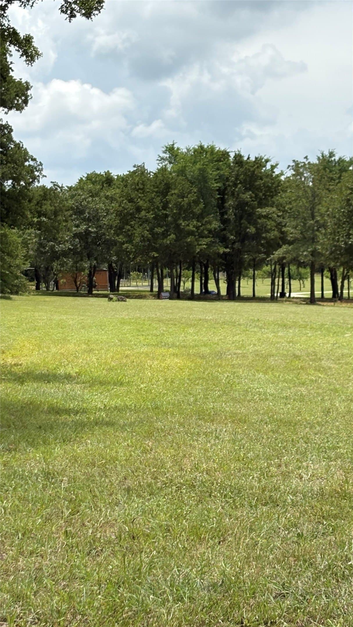 33.59 acres in Cooke County - photo 17