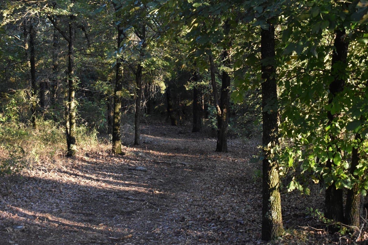 33.59 acres in Cooke County - photo 38