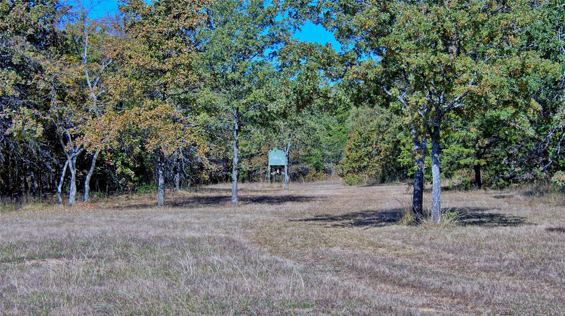 33.59 acres in Cooke County - photo 26