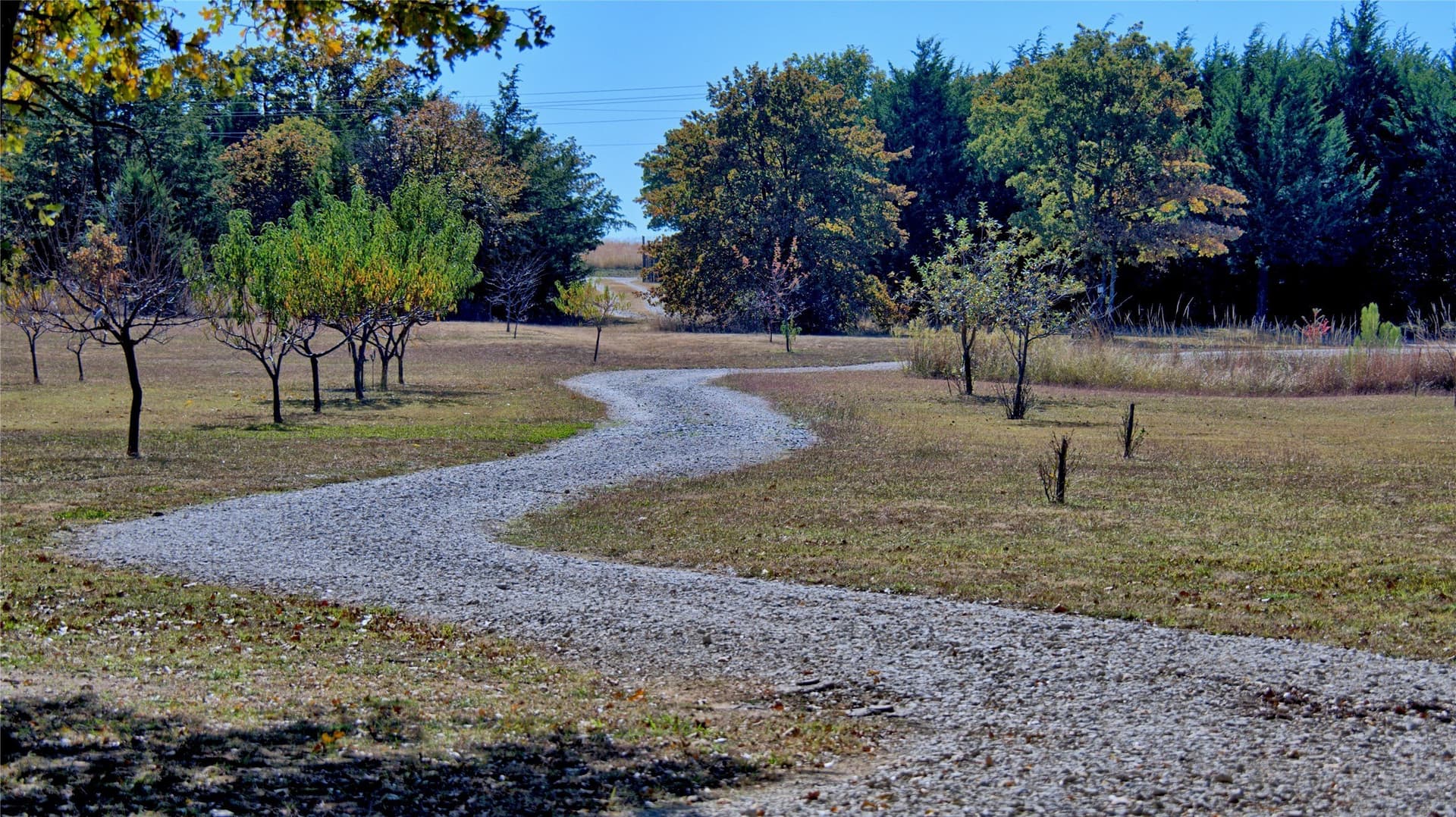33.59 acres in Cooke County featured view