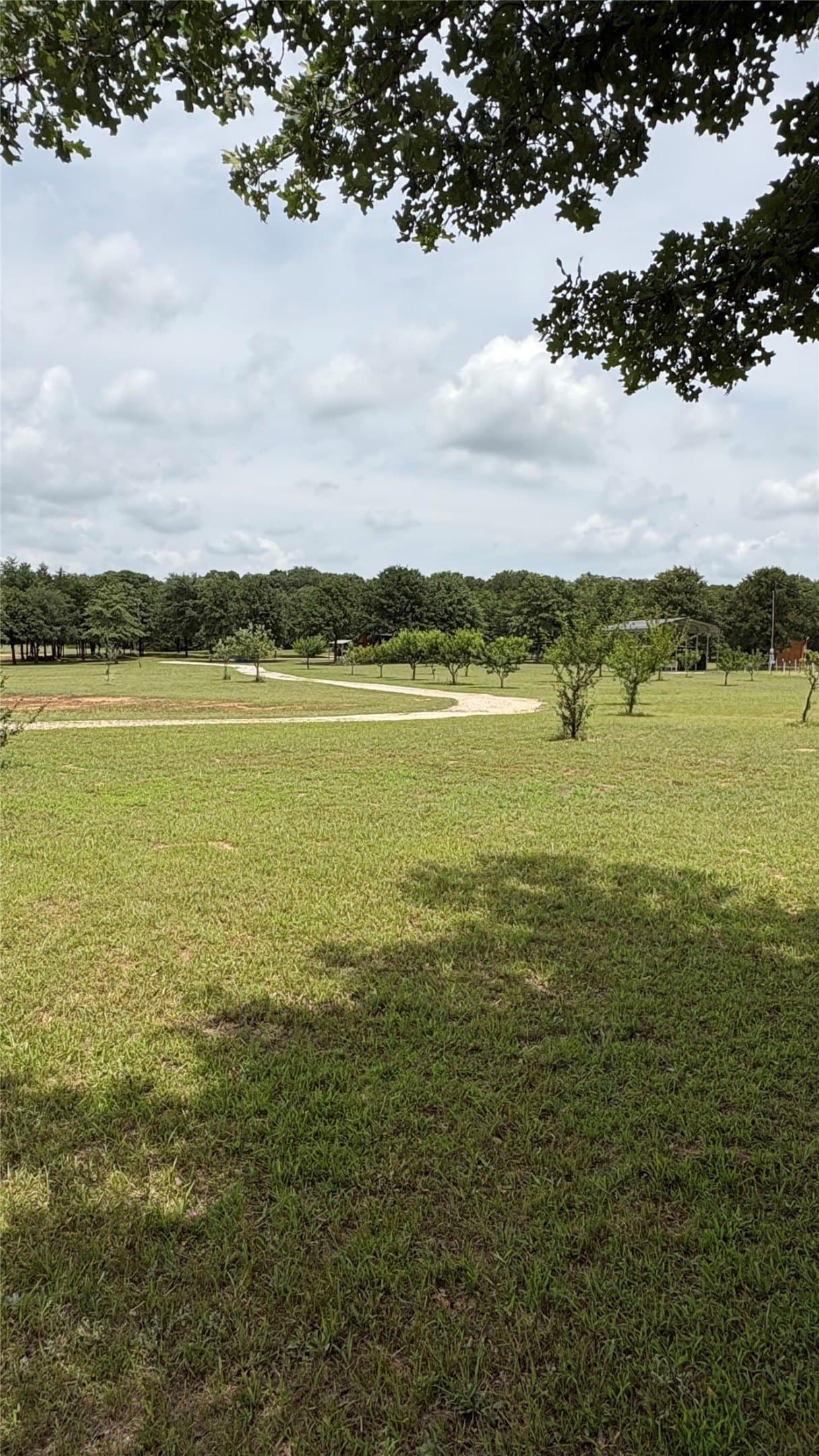 33.59 acres in Cooke County - photo 40