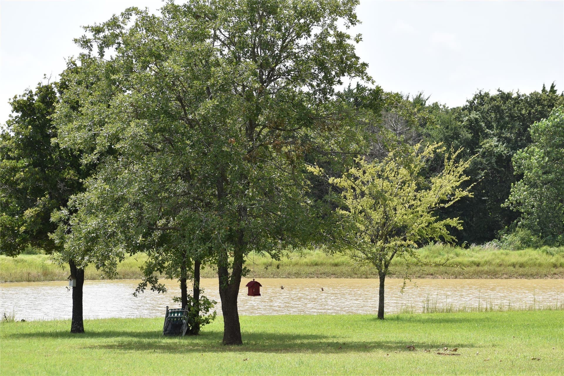 33.59 acres in Cooke County - photo 24
