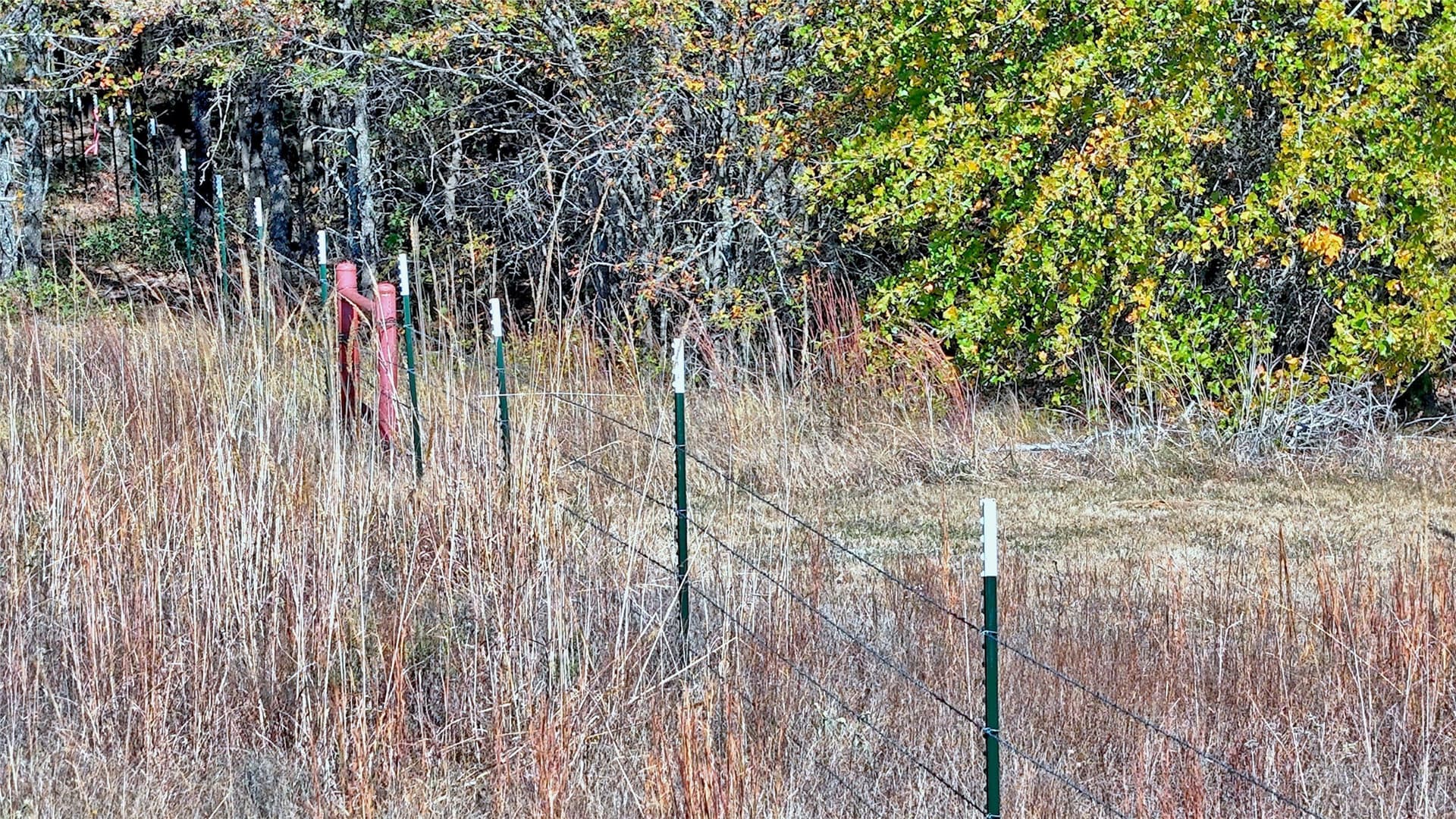 33.59 acres in Cooke County - photo 39