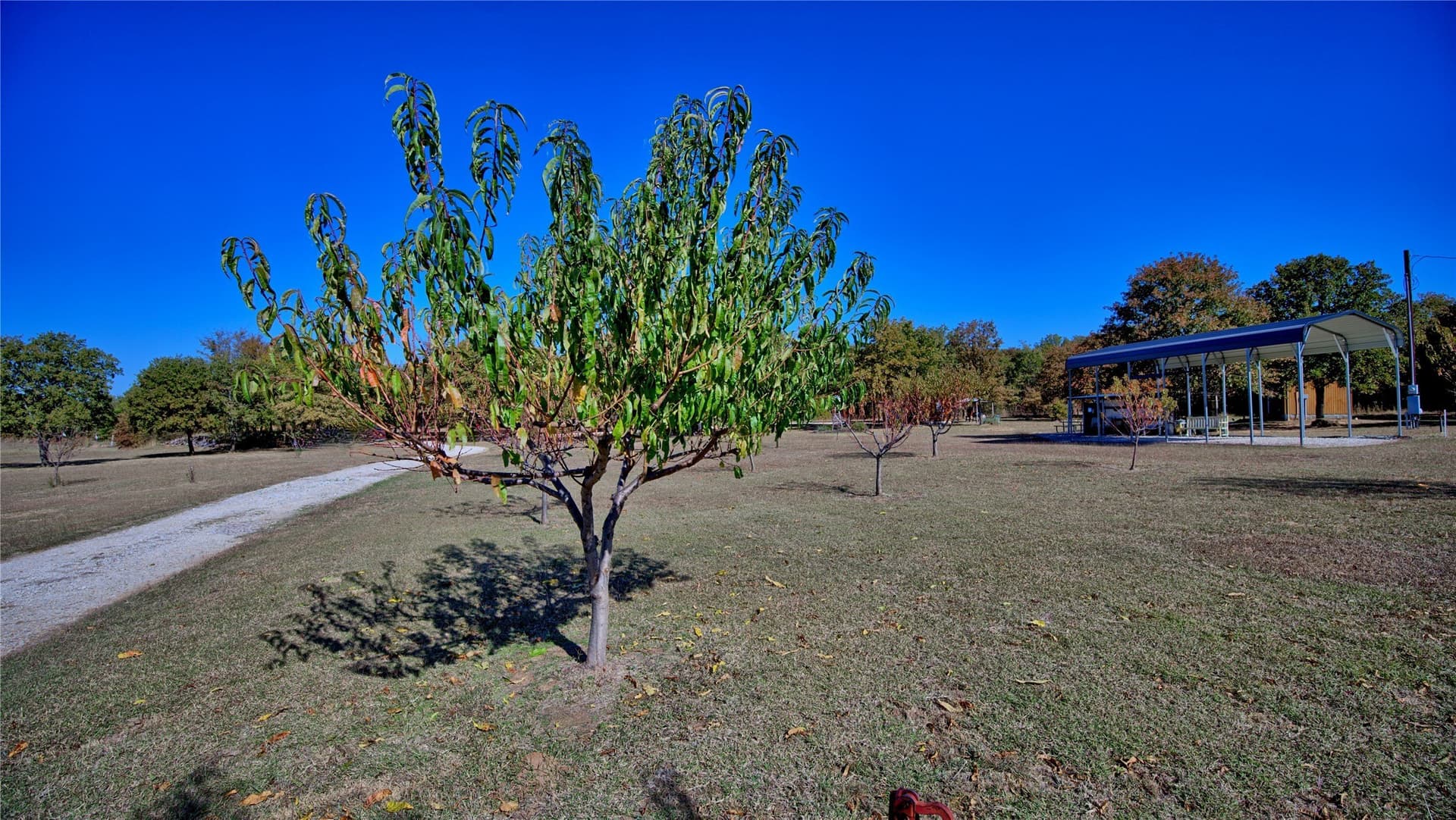 33.59 acres in Cooke County - photo 30