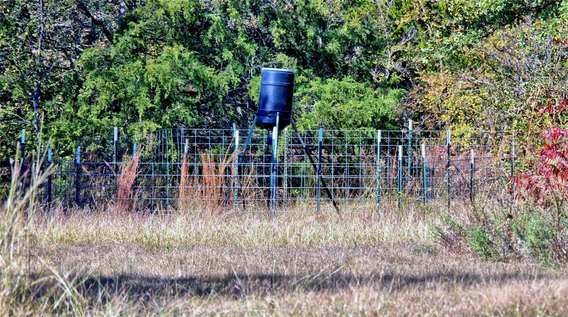 33.59 acres in Cooke County - photo 28