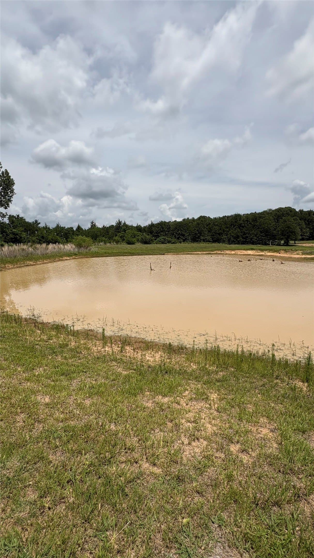33.59 acres in Cooke County - photo 23