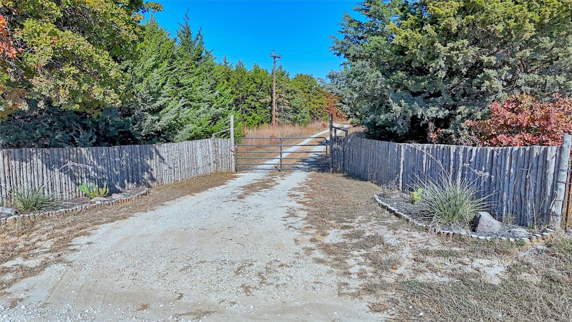 33.59 acres in Cooke County gallery image 4