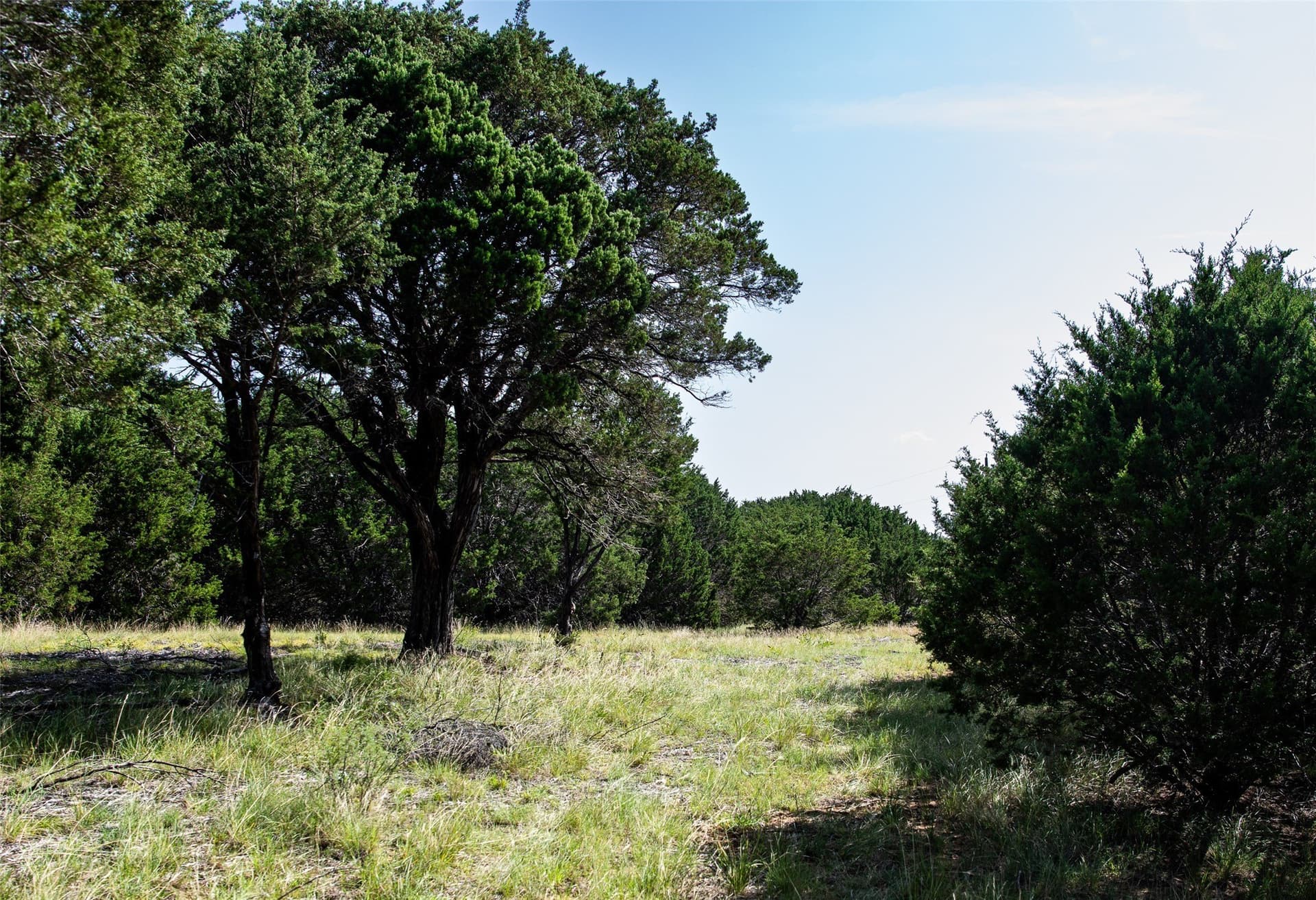 28.94 acres in Eastland County - photo 15