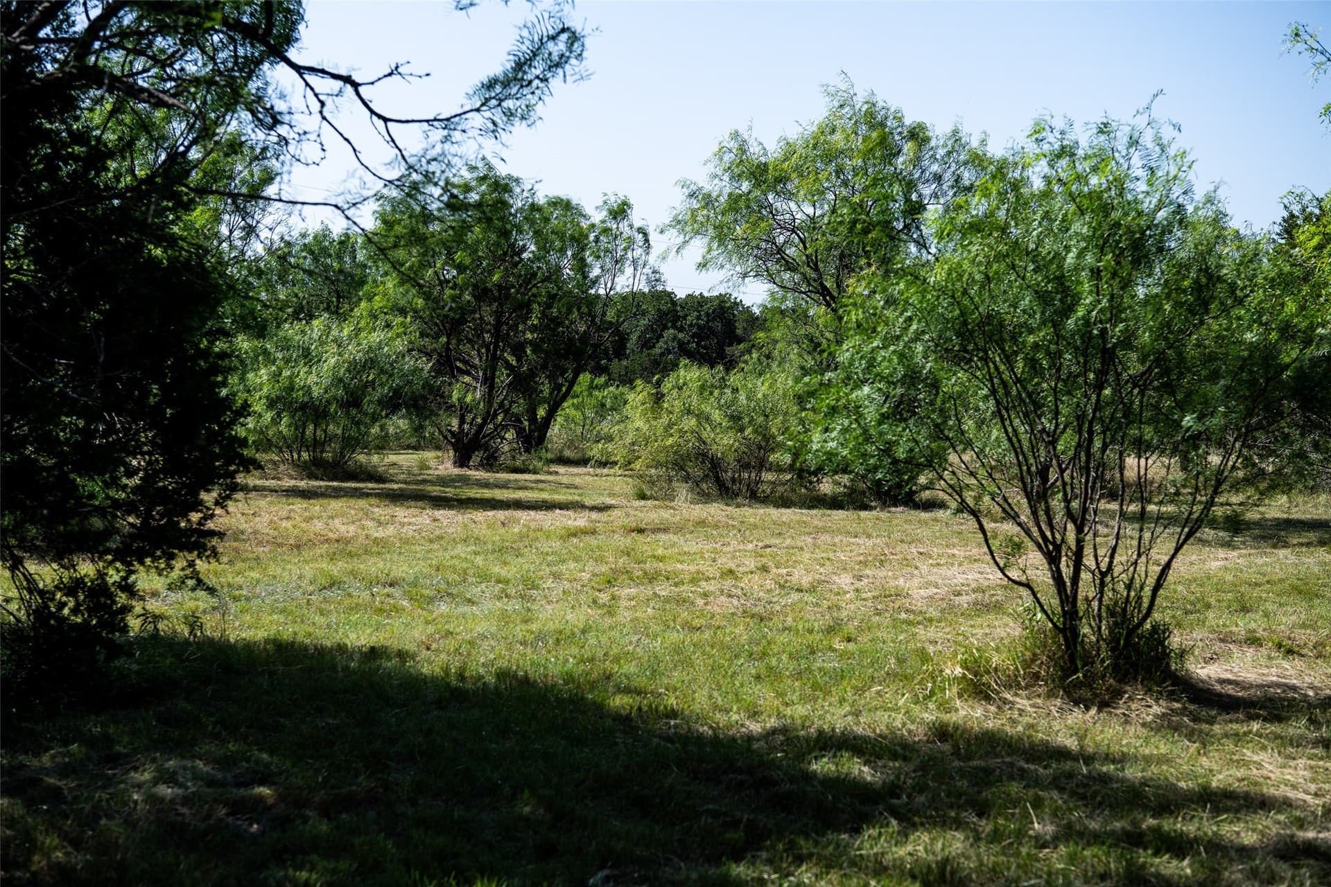 28.94 acres in Eastland County - photo 13