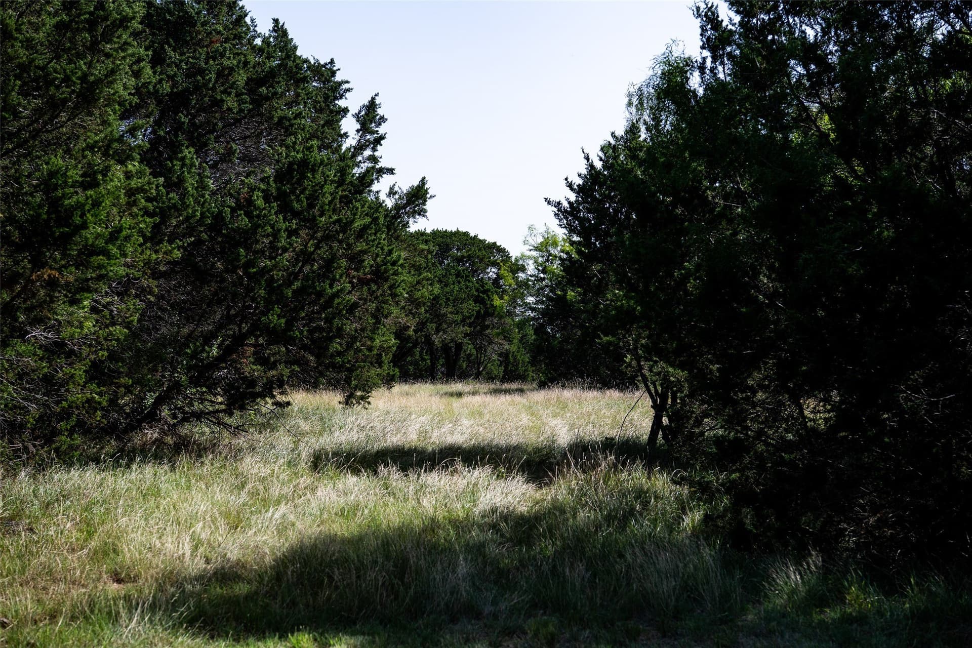 28.94 acres in Eastland County - photo 16
