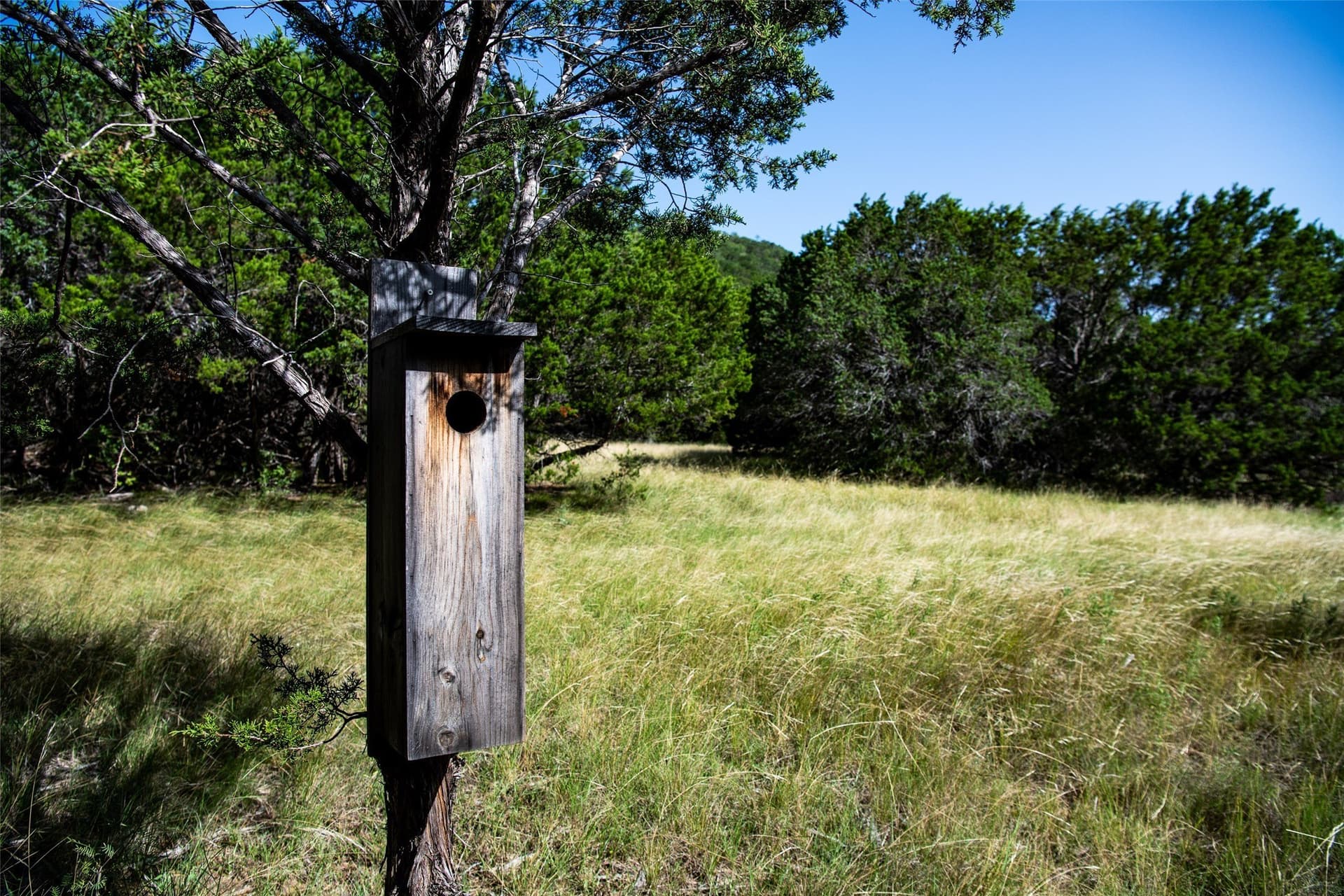 28.94 acres in Eastland County - photo 12
