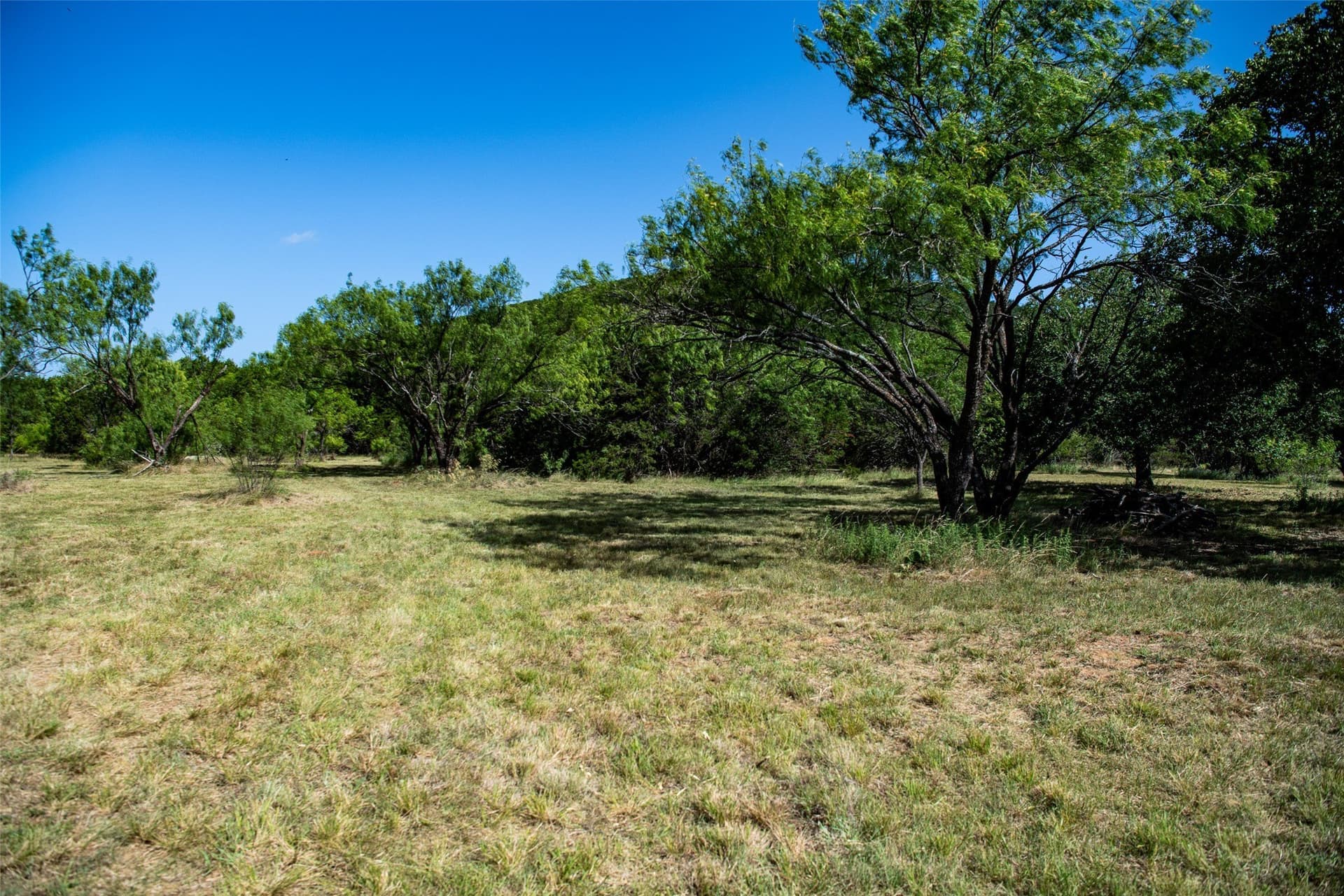 28.94 acres in Eastland County - photo 11
