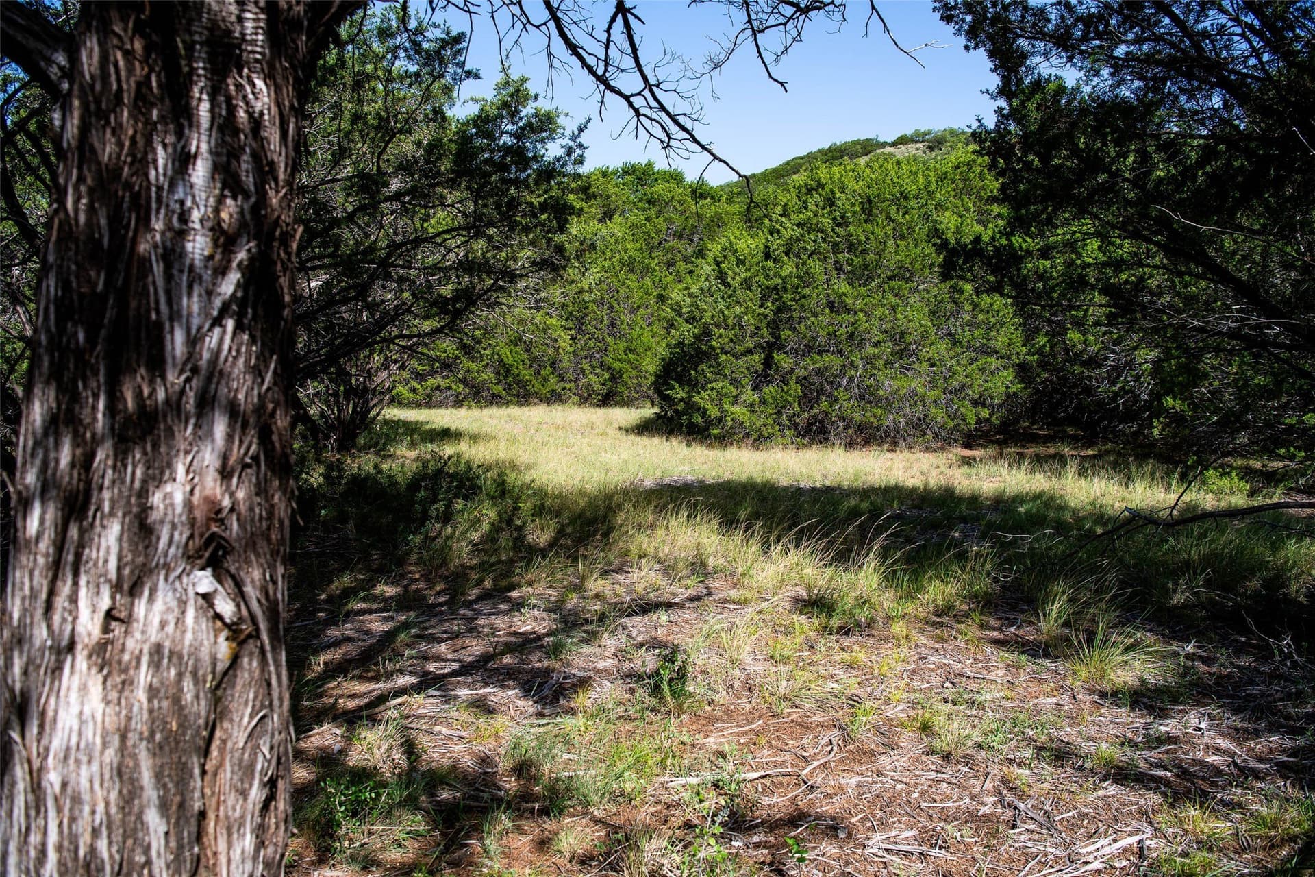 28.94 acres in Eastland County - photo 14