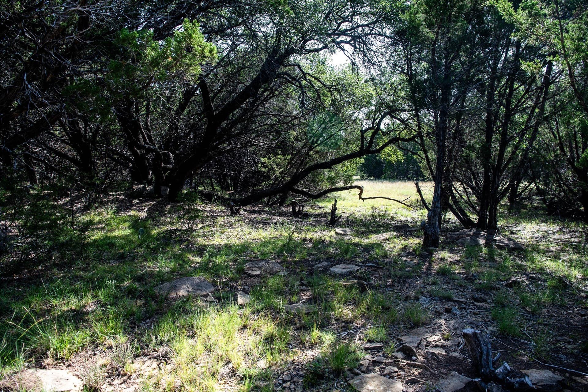 28.94 acres in Eastland County - photo 19