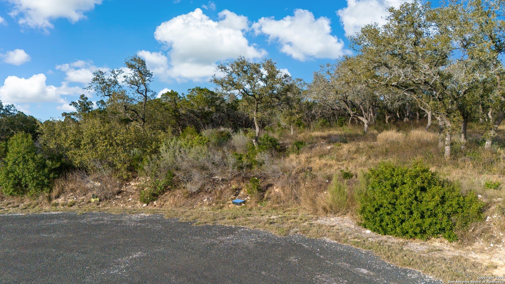 2.42 acres in Medina County - photo 15